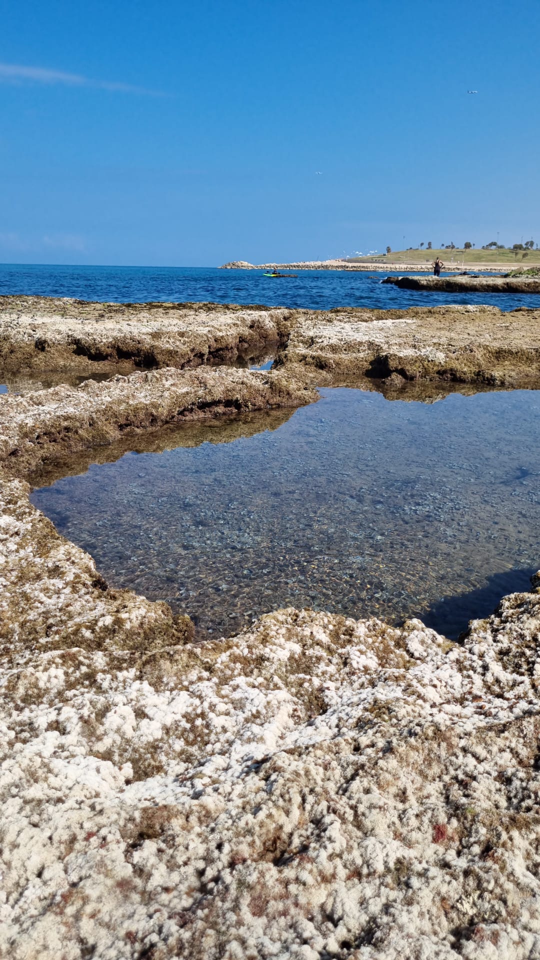 WhatsApp Image 2023-02-25 at 11.32.58 AM (1).jpeg